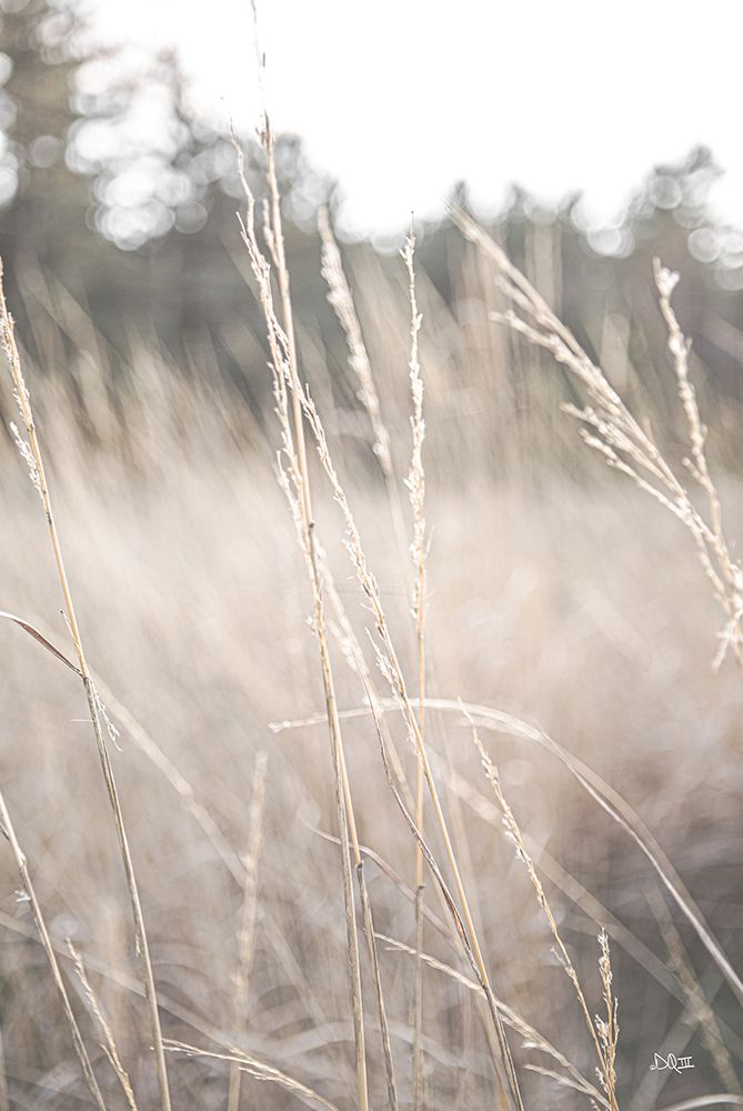 Field of Dreams I art print by Donnie Quillen for $57.95 CAD