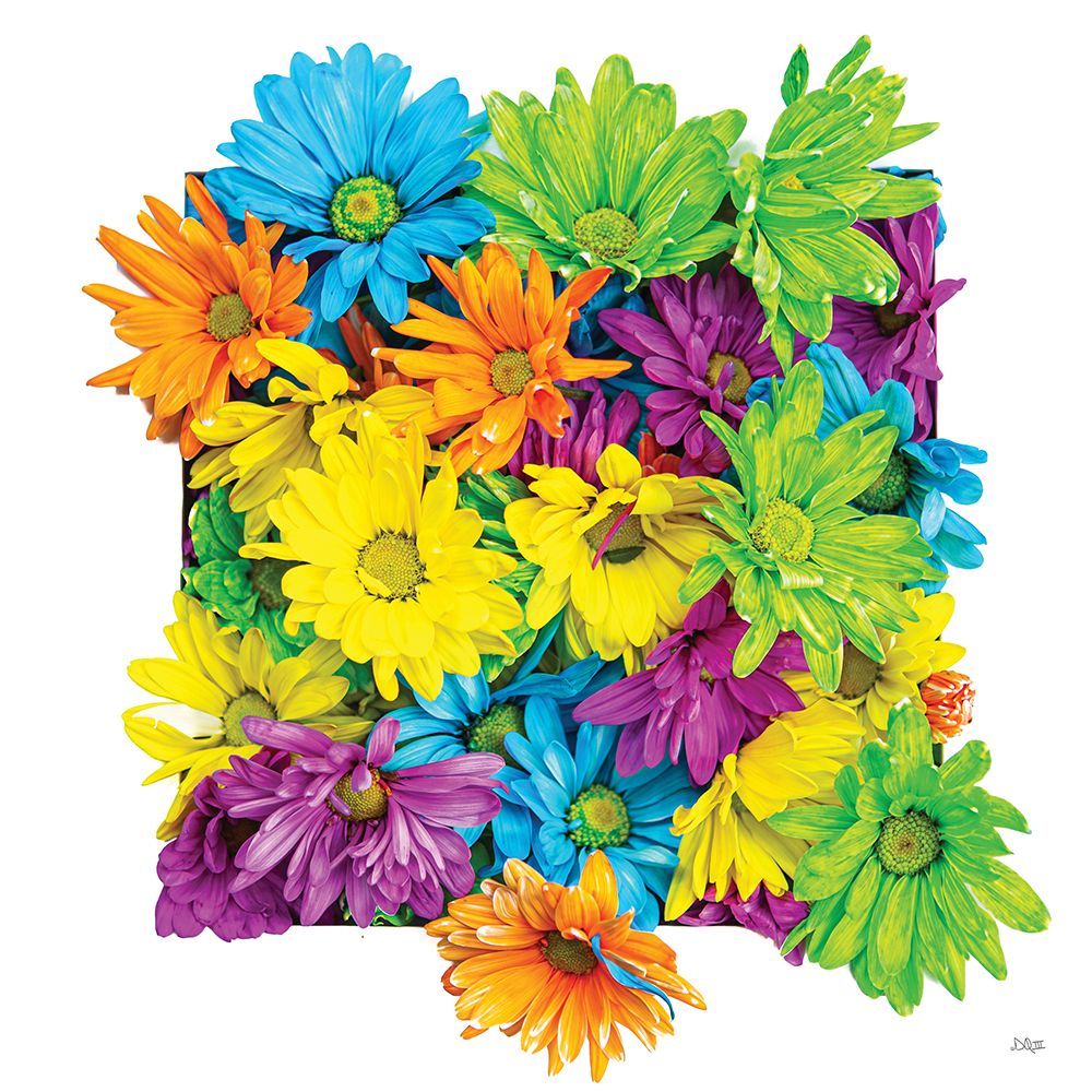 Floral Pop I art print by Donnie Quillen for $57.95 CAD