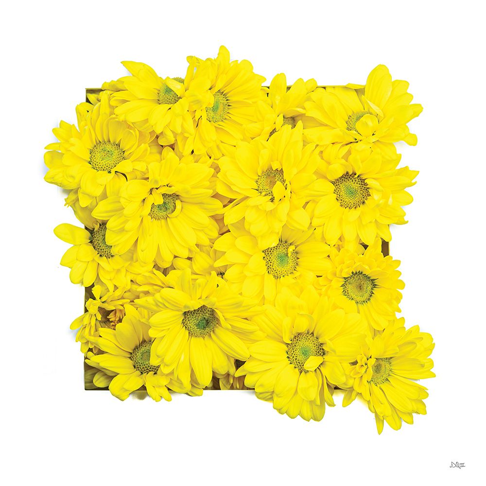 Floral Pop II art print by Donnie Quillen for $57.95 CAD