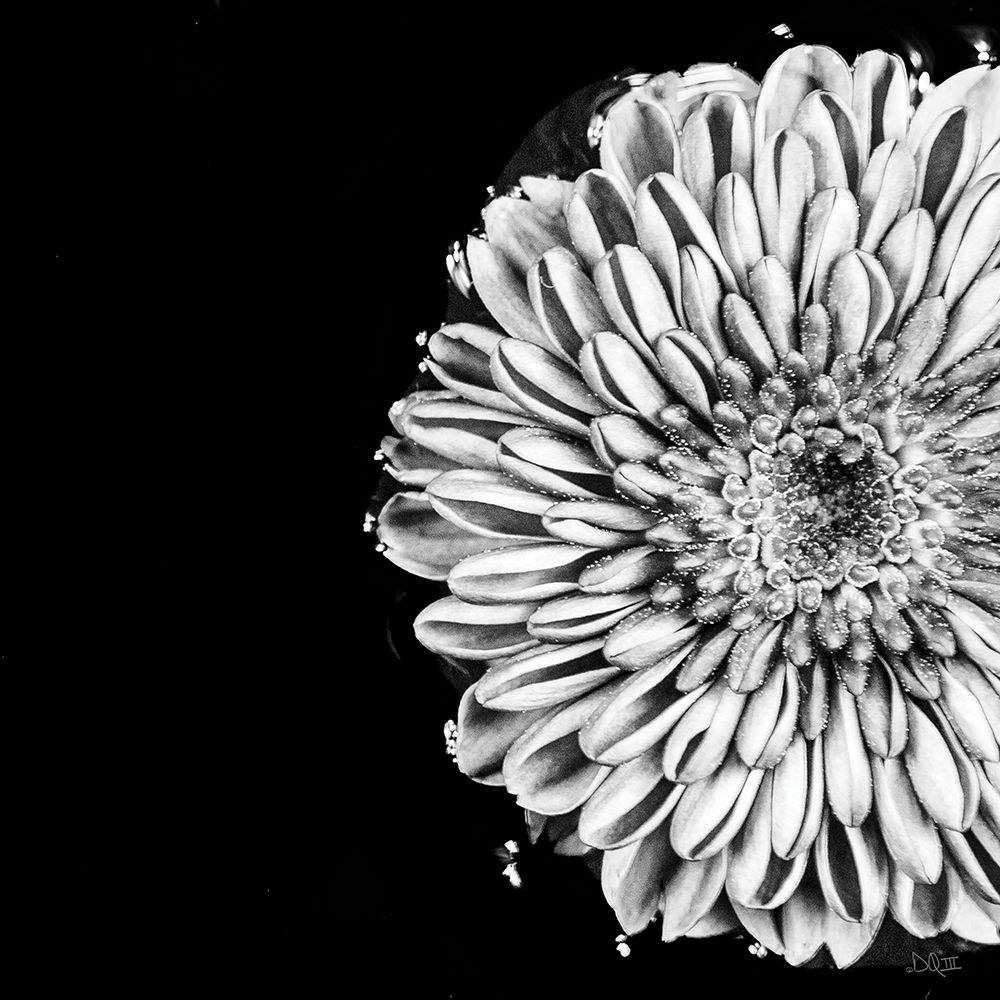 Black and White Love II art print by Donnie Quillen for $57.95 CAD