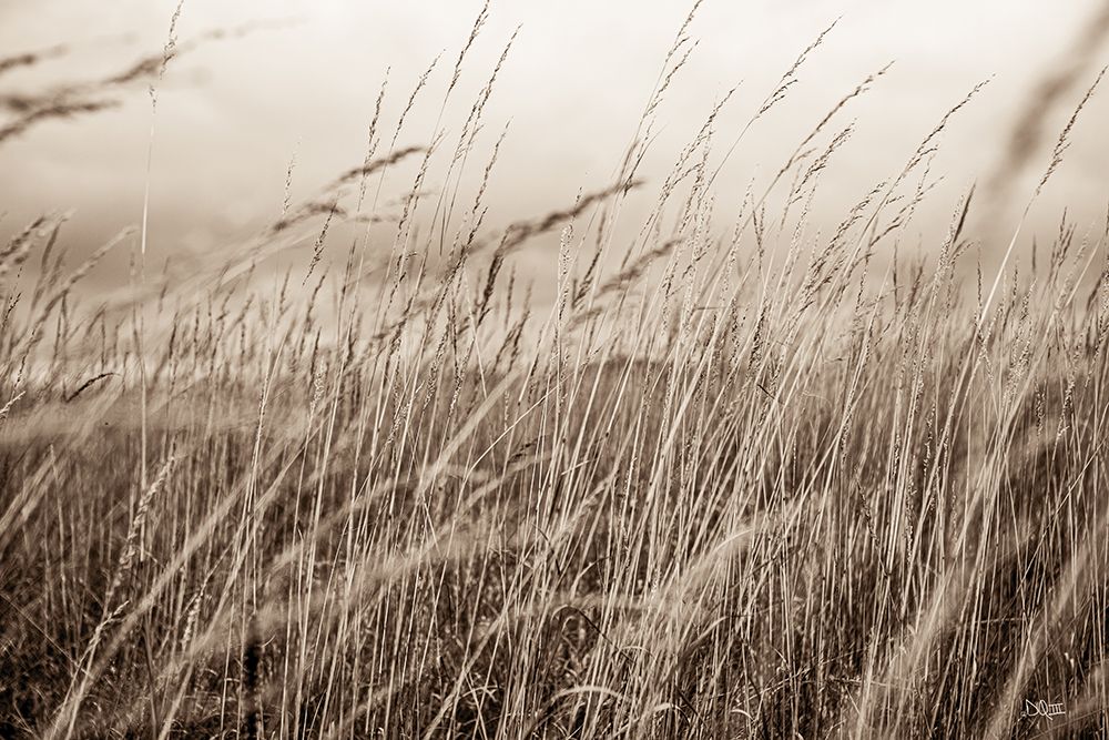 Field in the Fall II art print by Donnie Quillen for $57.95 CAD