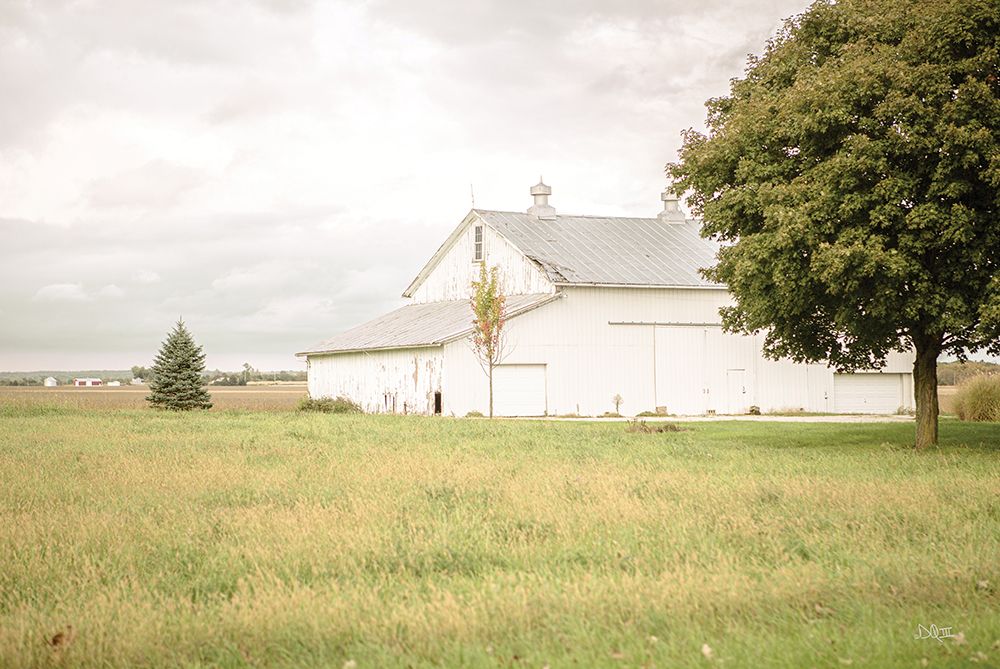 Barn in the Country I art print by Donnie Quillen for $57.95 CAD