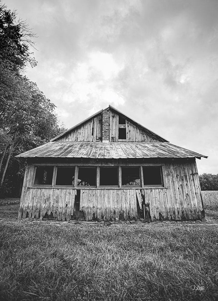 Seen Better Days art print by Donnie Quillen for $57.95 CAD