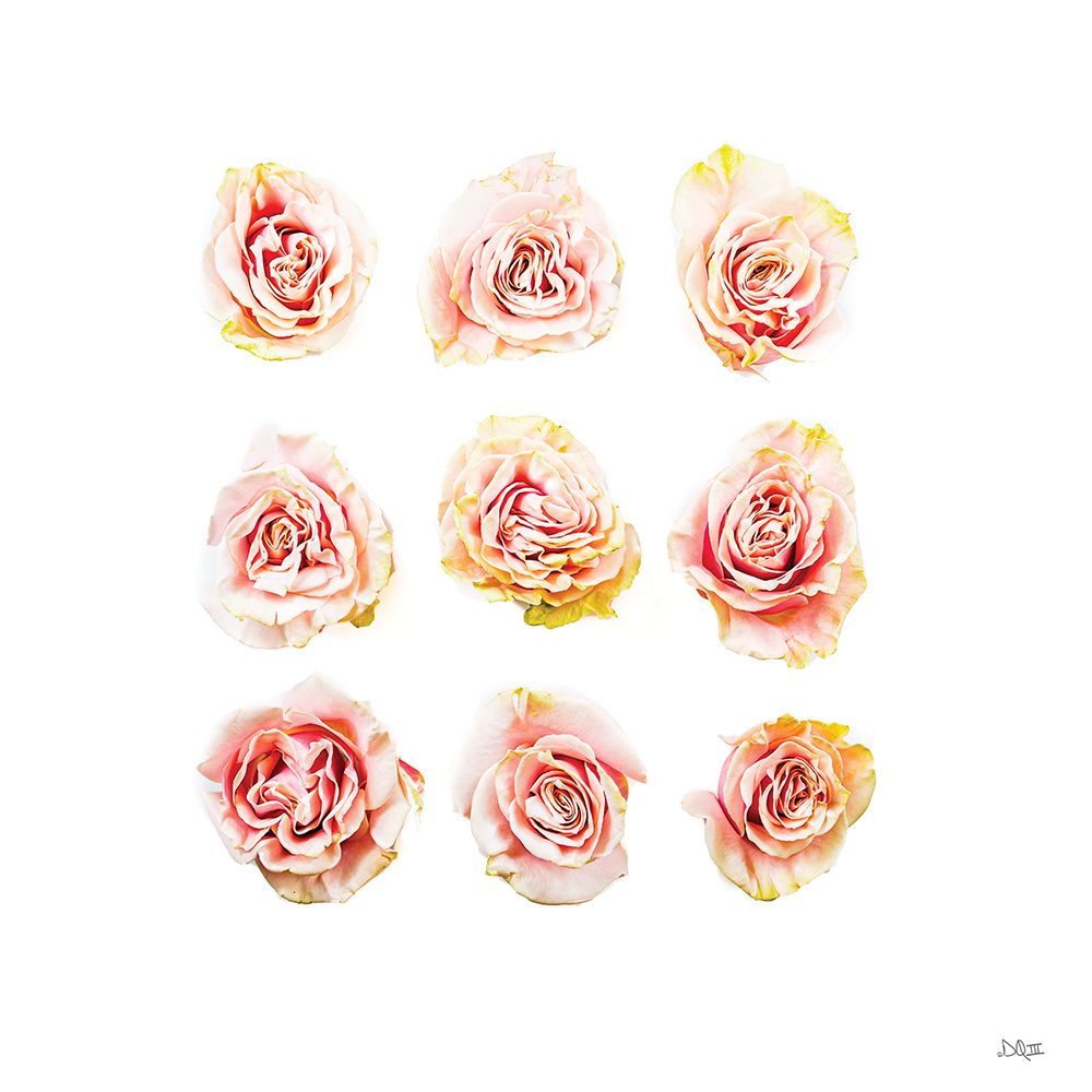 Pink Roses art print by Donnie Quillen for $57.95 CAD