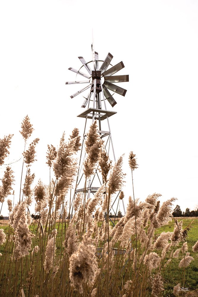 Changing Winds art print by Donnie Quillen for $57.95 CAD