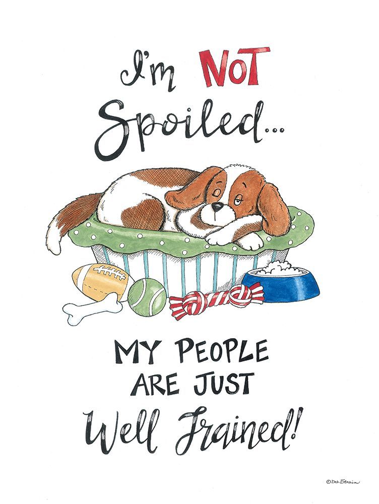 Im Not Spoiled art print by Deb Strain for $57.95 CAD