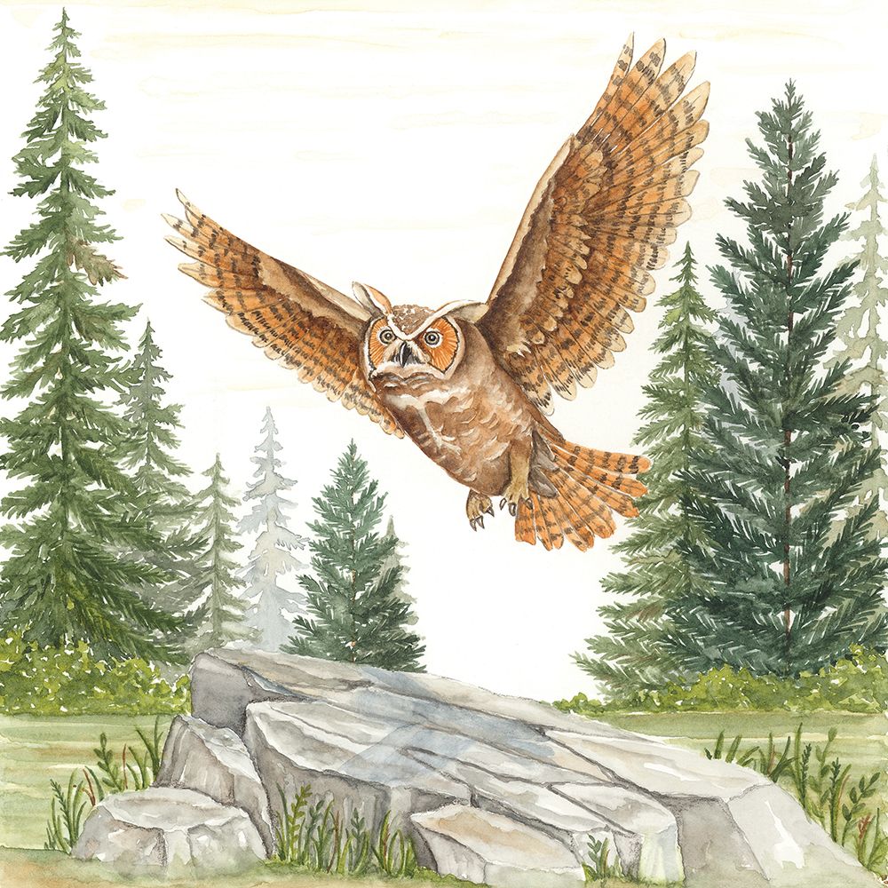 Owl in Forest art print by Deb Strain for $57.95 CAD