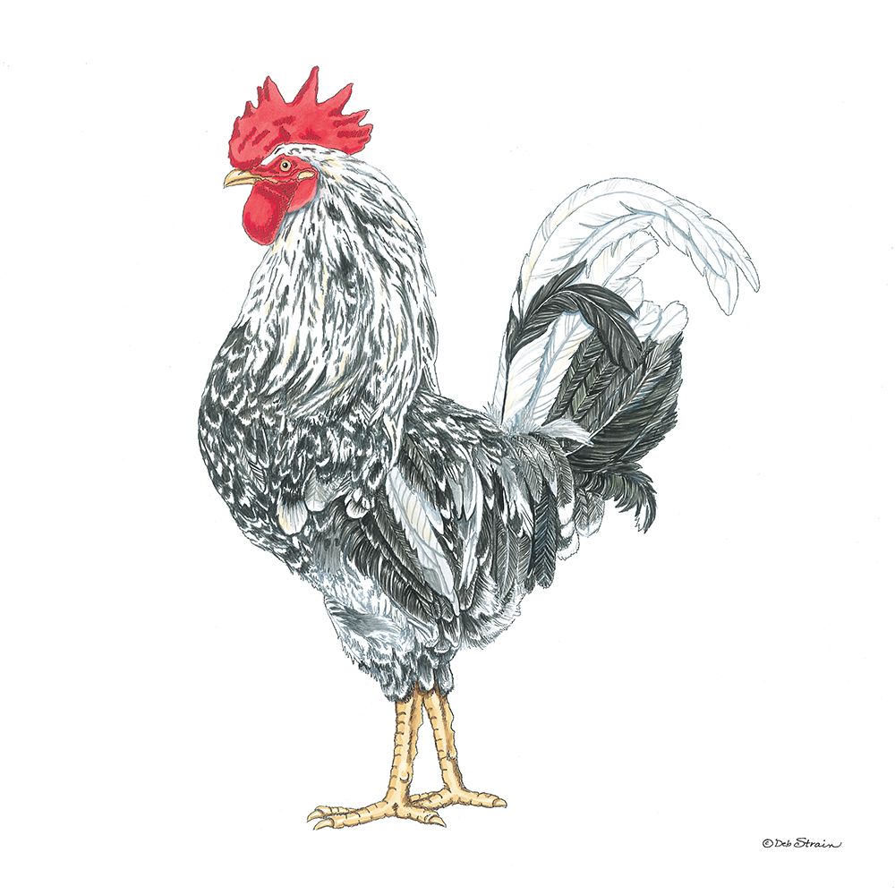 Artisan Farm Rooster I art print by Deb Strain for $57.95 CAD