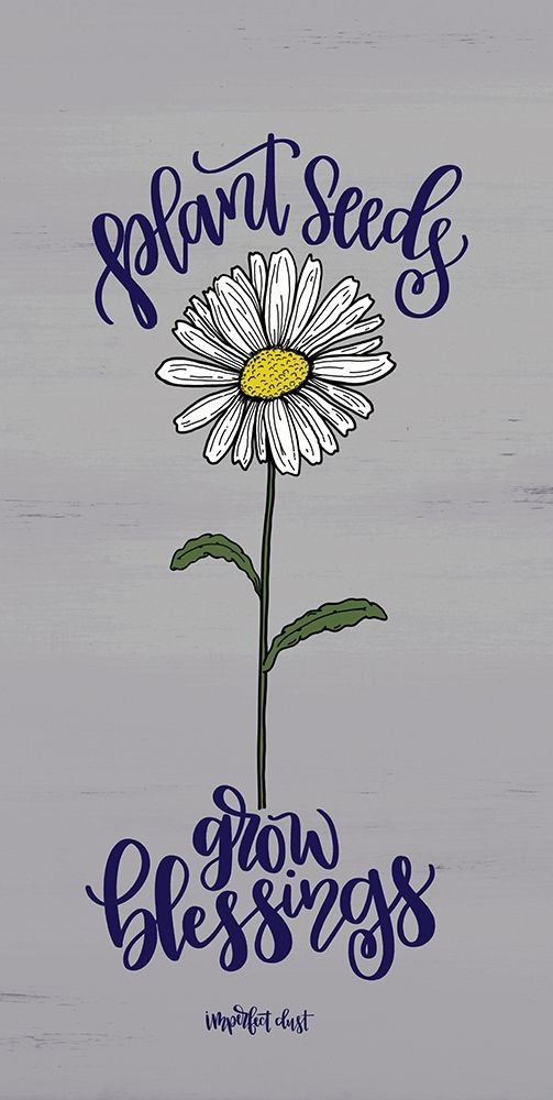 Plant Seeds art print by Imperfect Dust for $57.95 CAD