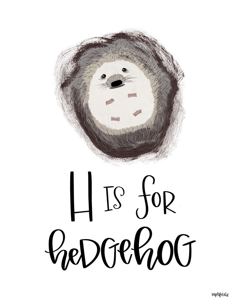 H is for Hedgehog art print by Imperfect Dust for $57.95 CAD