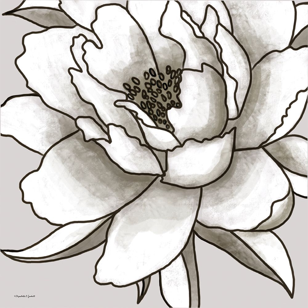 Macro Peony Sketch I art print by Elizabeth Tyndall for $57.95 CAD