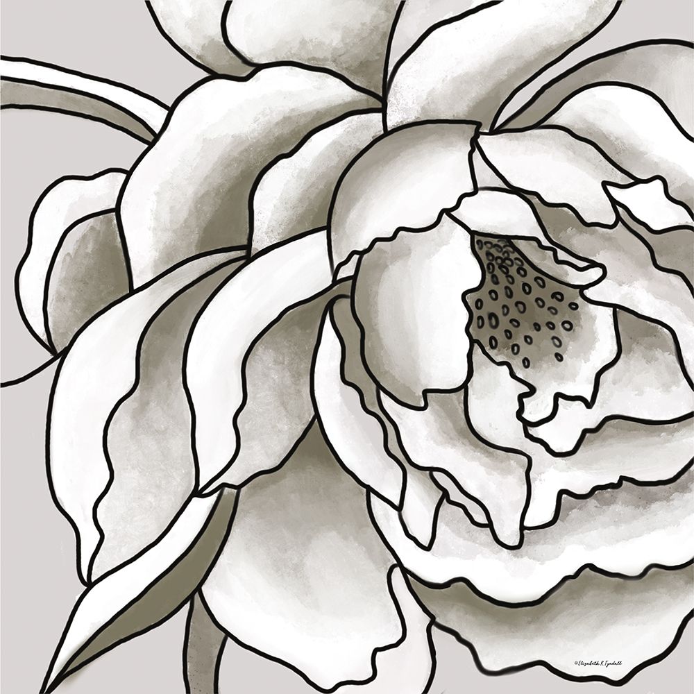 Macro Peony Sketch II art print by Elizabeth Tyndall for $57.95 CAD
