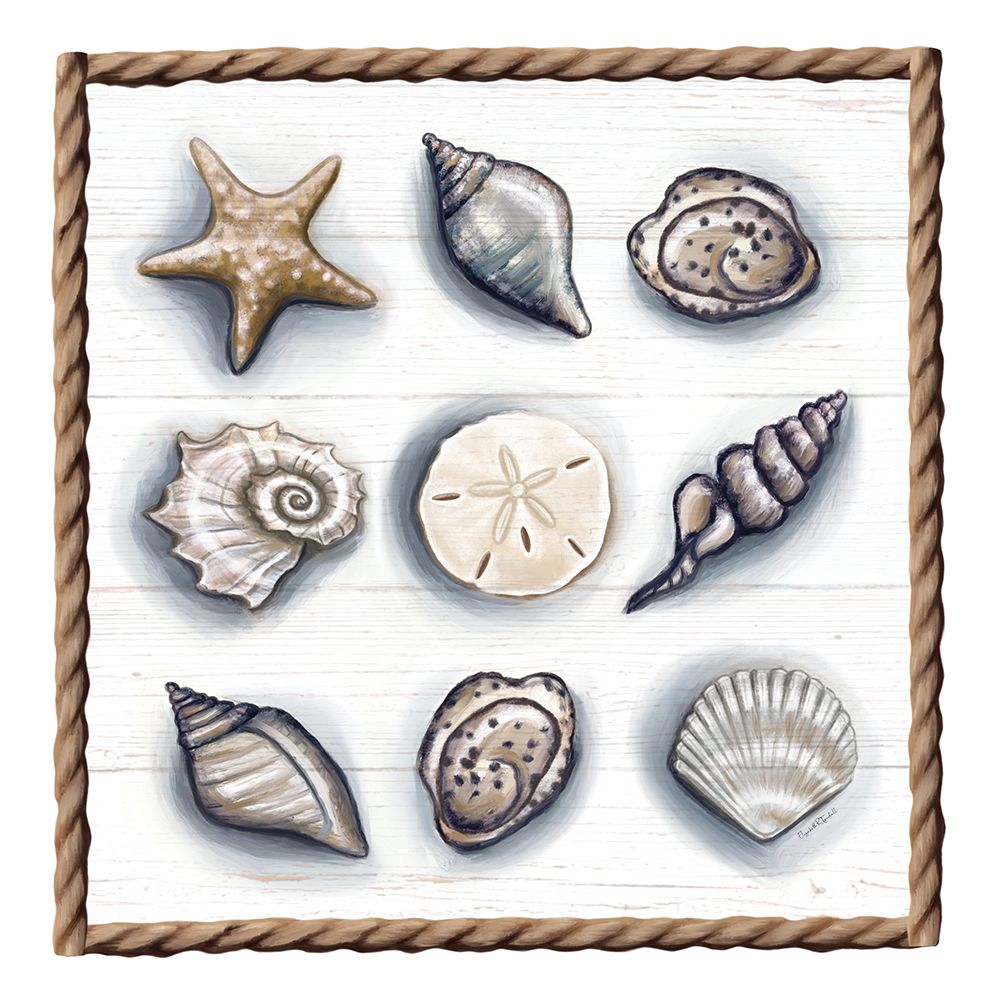 Beach Shells II art print by Elizabeth Tyndall for $57.95 CAD