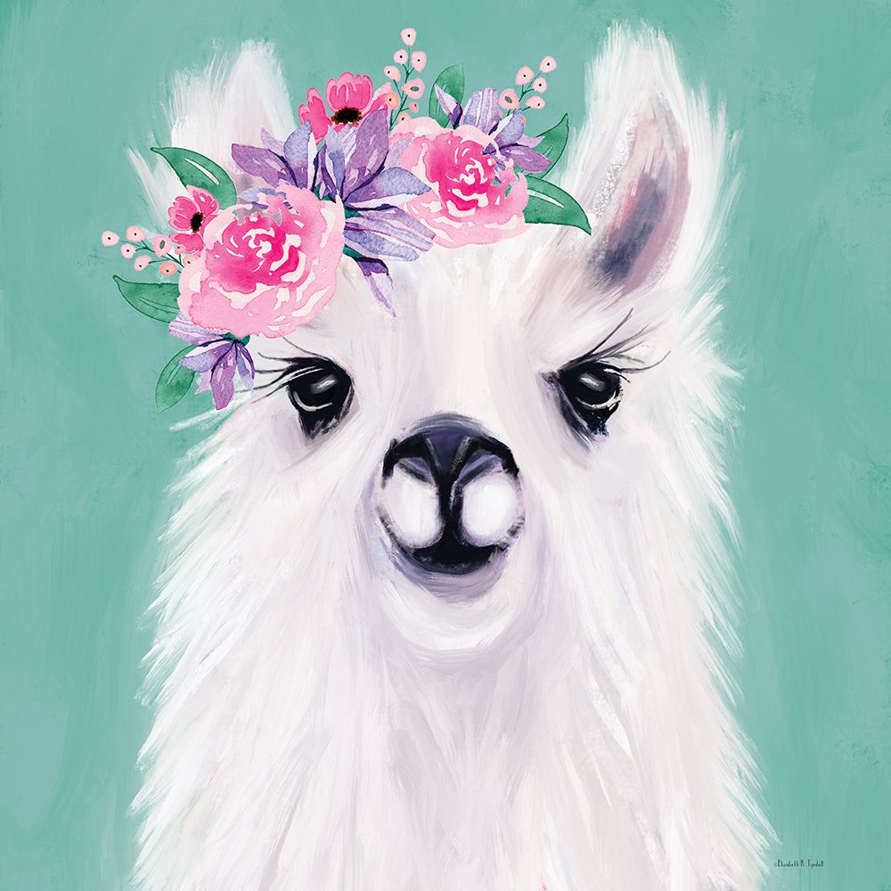 Floral Llama art print by Elizabeth Tyndall for $57.95 CAD