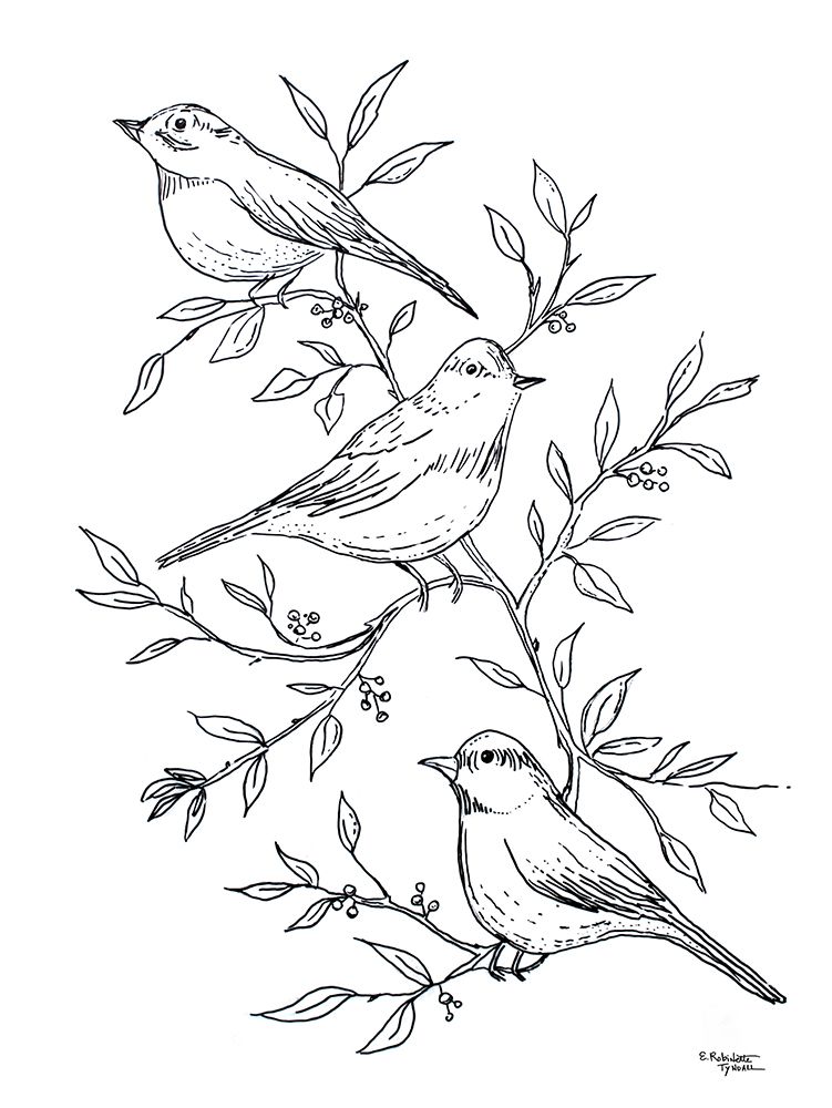 Botanical Birds I art print by Elizabeth Tyndall for $57.95 CAD