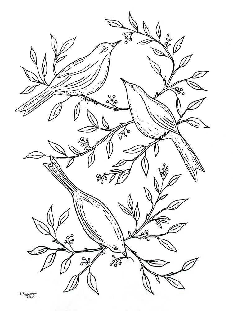 Botanical Birds II art print by Elizabeth Tyndall for $57.95 CAD