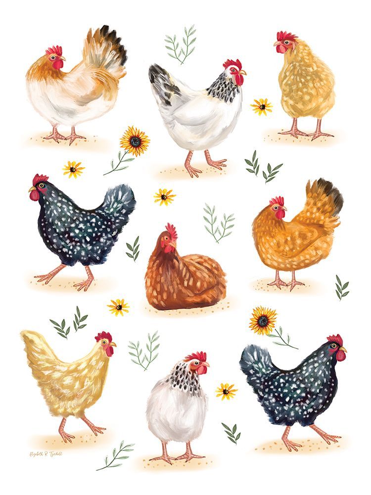 Chickens art print by Elizabeth Tyndall for $57.95 CAD