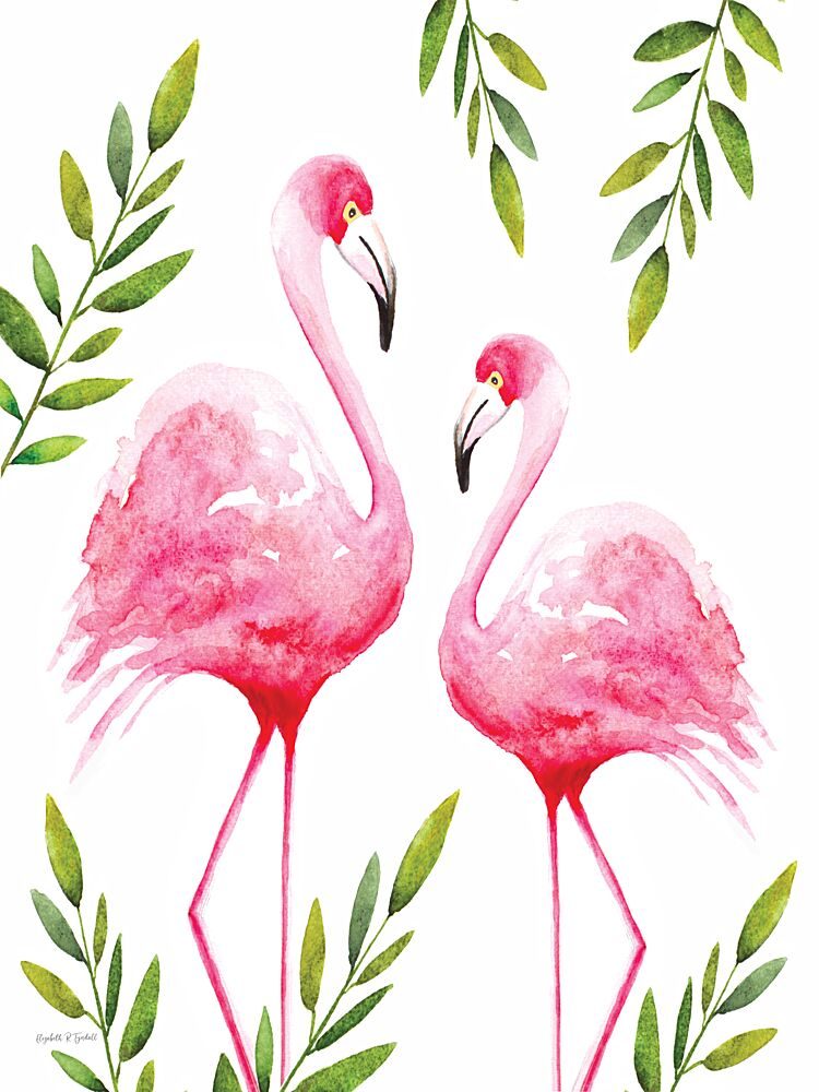 Two Pink Flamingos art print by Elizabeth Tyndall for $57.95 CAD