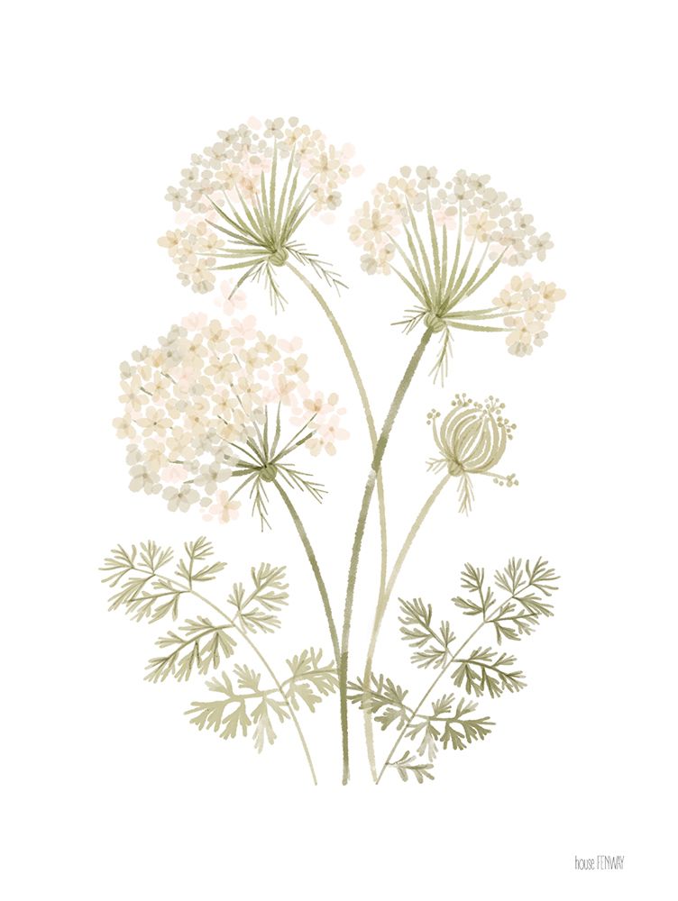 Annes Lace II art print by House Fenway for $57.95 CAD