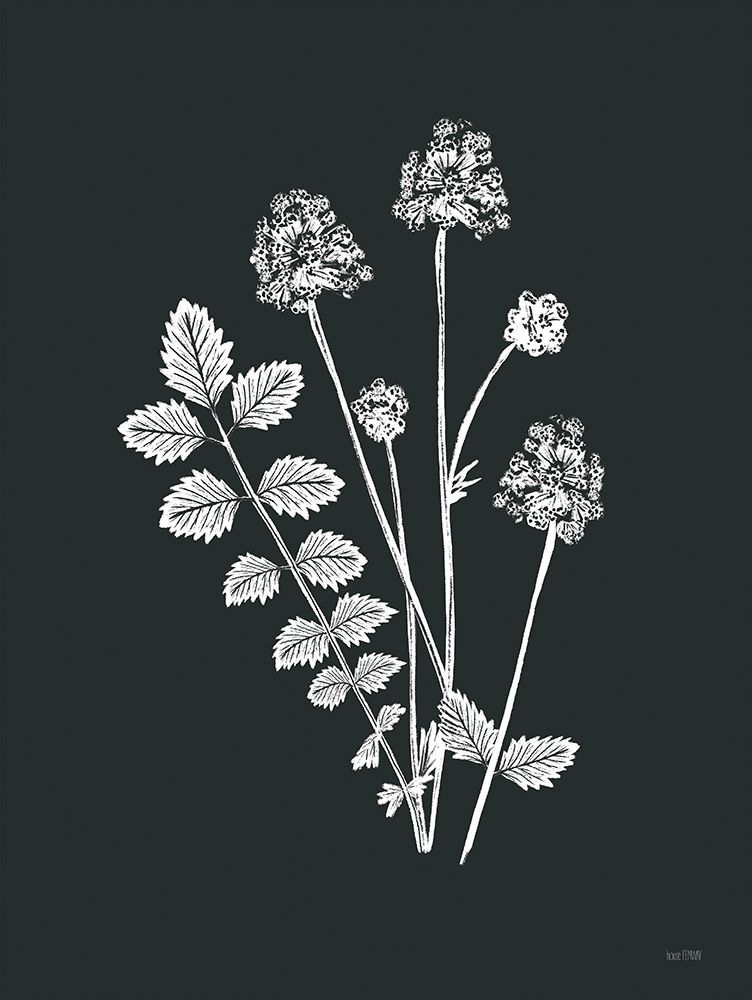 Wildflower Sunprint I art print by House Fenway for $57.95 CAD