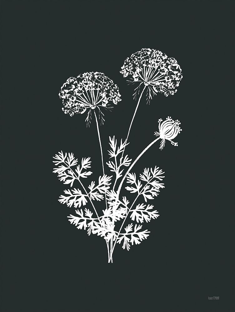 Wildflower Sunprint II art print by House Fenway for $57.95 CAD