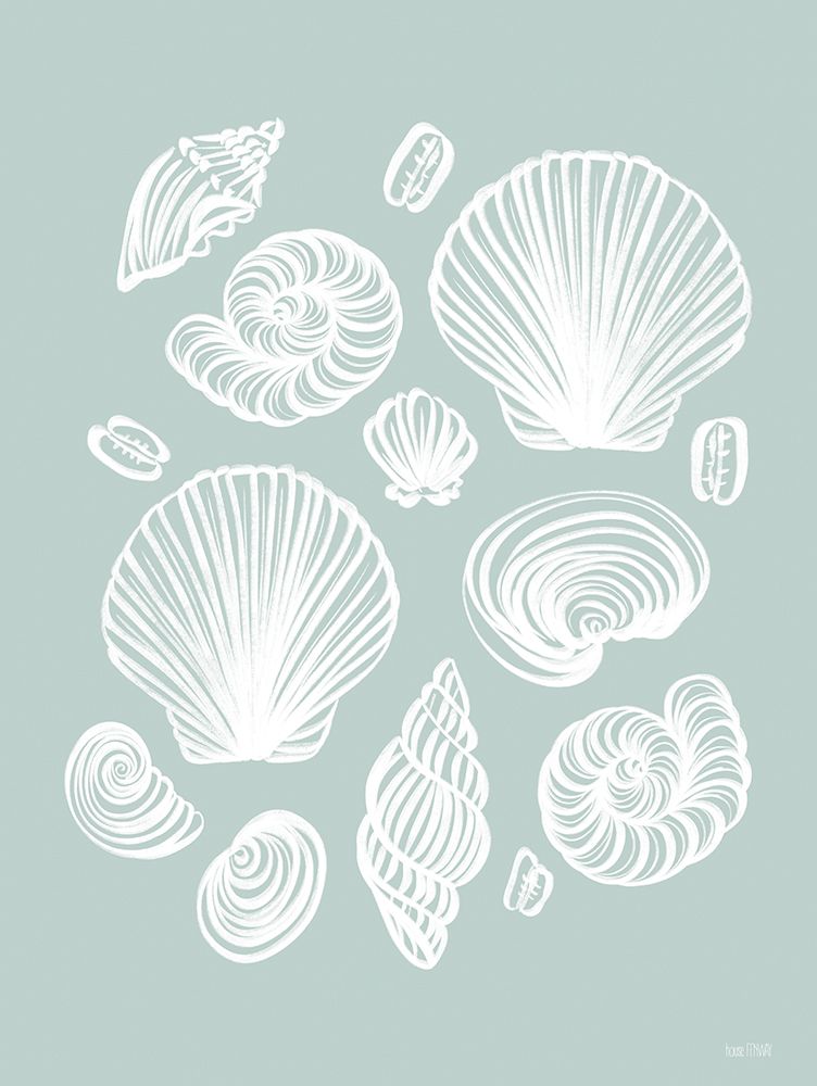 Tossed Sea Shells art print by House Fenway for $57.95 CAD