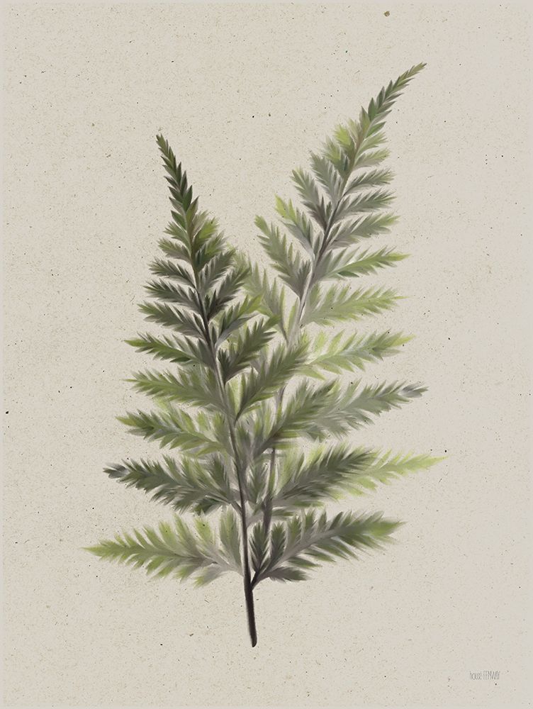 Soft Fern art print by House Fenway for $57.95 CAD