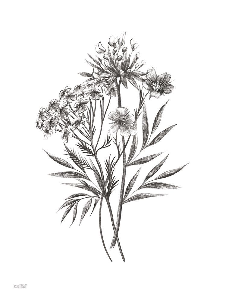 Wildflower Sketch I art print by House Fenway for $57.95 CAD