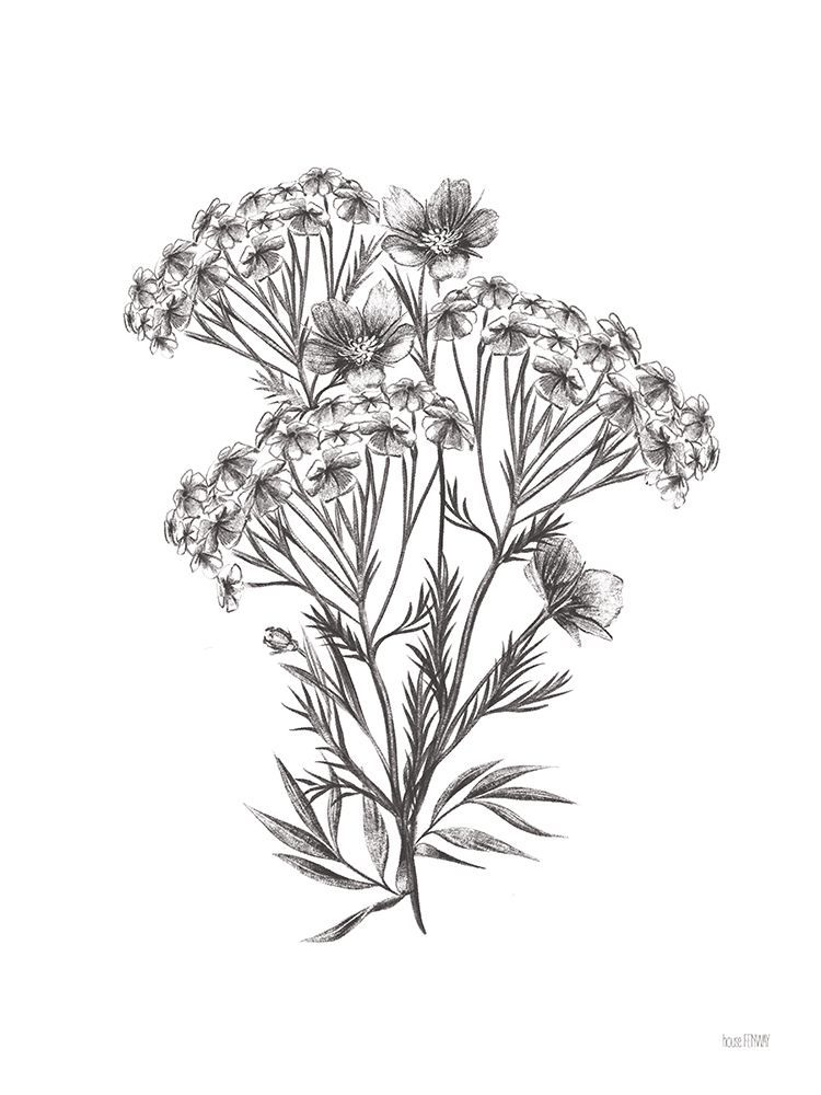 Wildflower Sketch II art print by House Fenway for $57.95 CAD