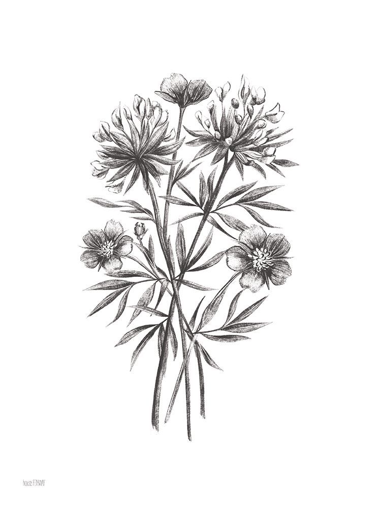Wildflower Sketch III art print by House Fenway for $57.95 CAD