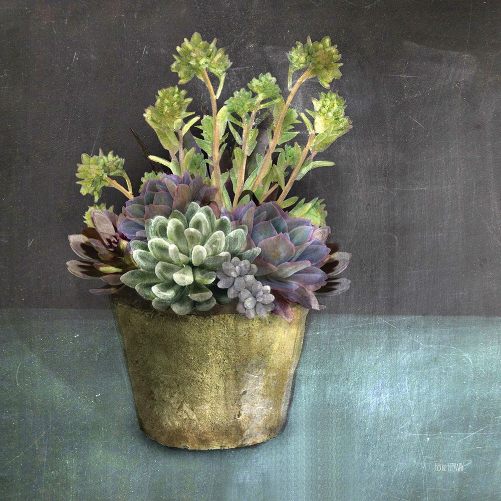 Succulents art print by House Fenway for $57.95 CAD