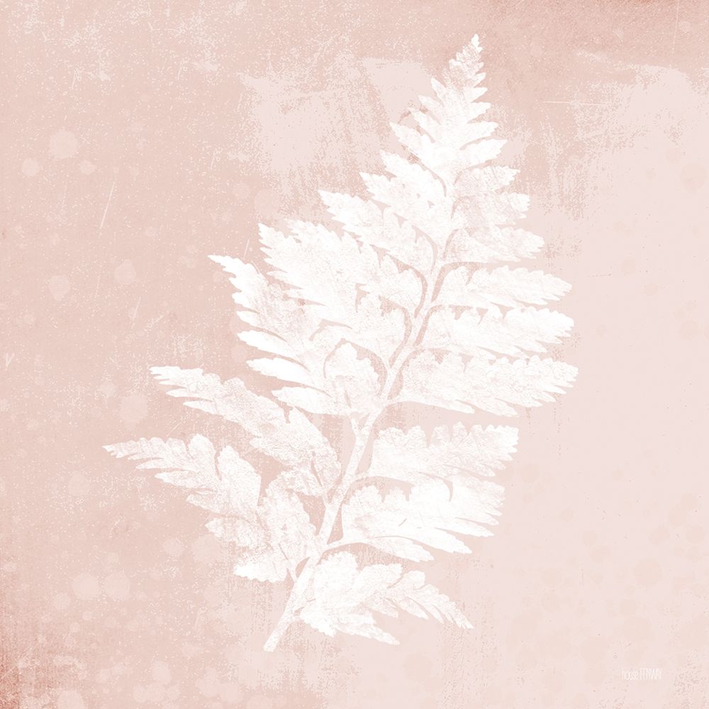 Blush Fern II art print by House Fenway for $57.95 CAD