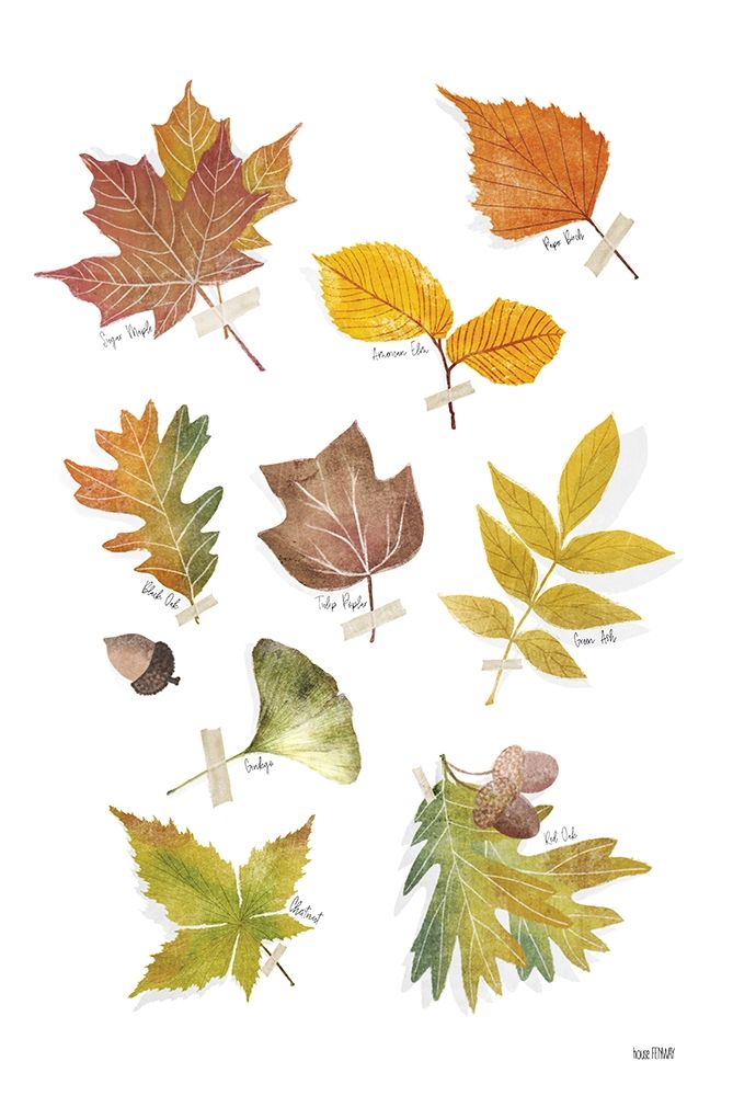 Autumn Leaves art print by House Fenway for $57.95 CAD