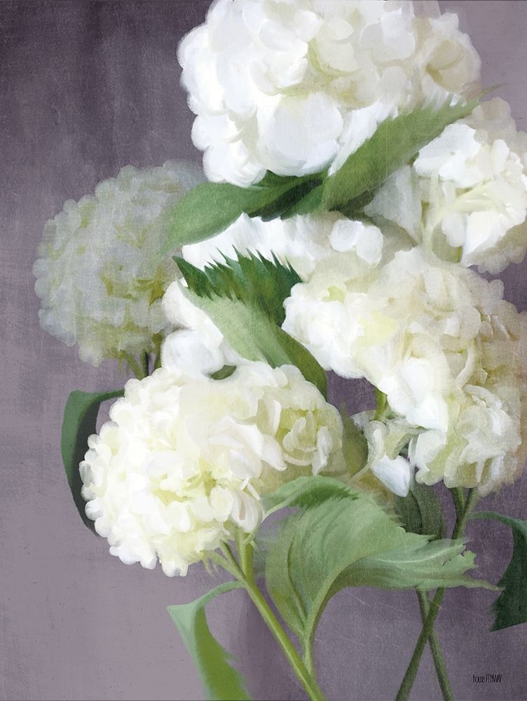 Snow Hydrangeas art print by House Fenway for $57.95 CAD