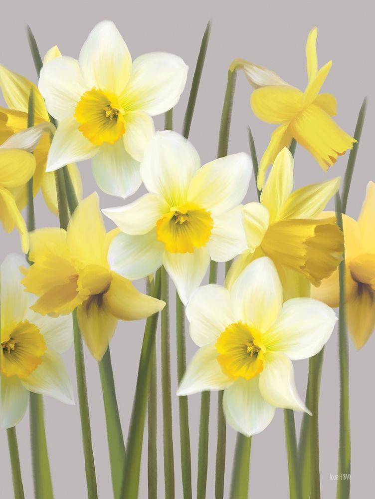 Spring Daffodils art print by House Fenway for $57.95 CAD