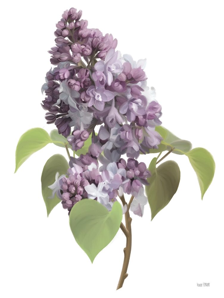Lilac Stem art print by House Fenway for $57.95 CAD