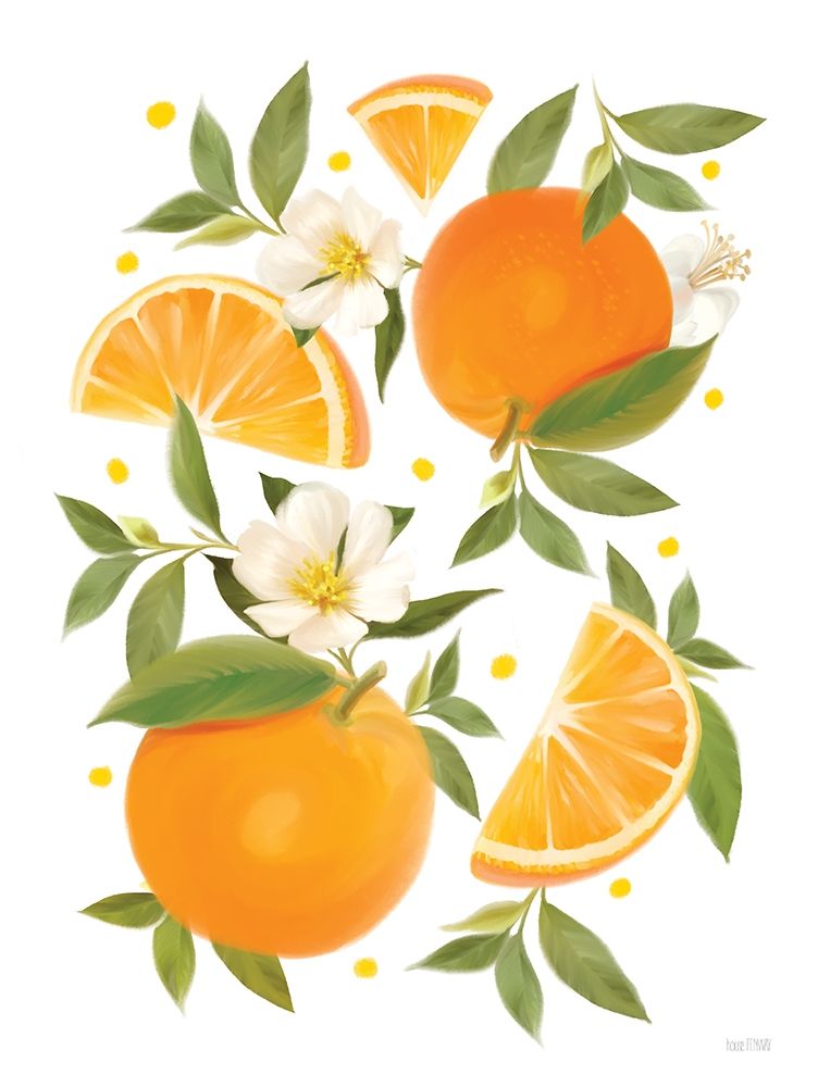 Citrus Orange Botanical art print by House Fenway for $57.95 CAD