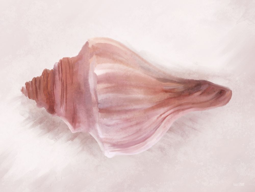 Conch Shell Blush I art print by House Fenway for $57.95 CAD