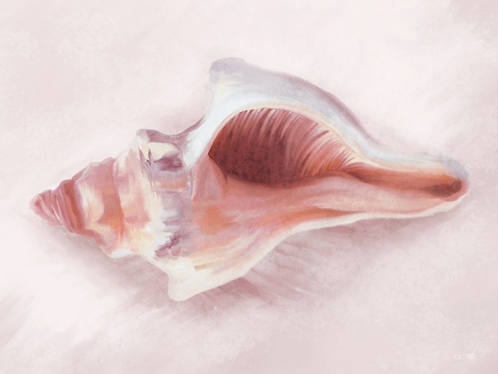 Conch Shell Blush II art print by House Fenway for $57.95 CAD