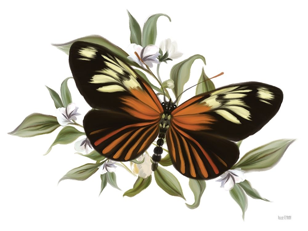 Botanical Butterfly Heliconius art print by House Fenway for $57.95 CAD