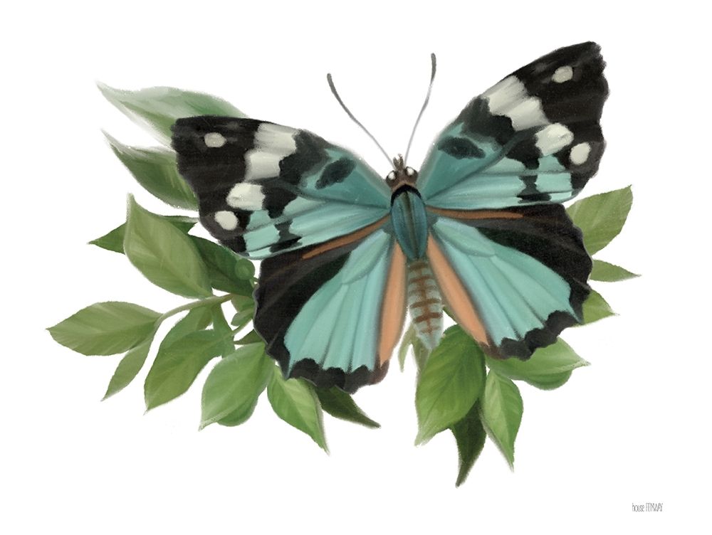 Botanical Butterfly Common Gem art print by House Fenway for $57.95 CAD