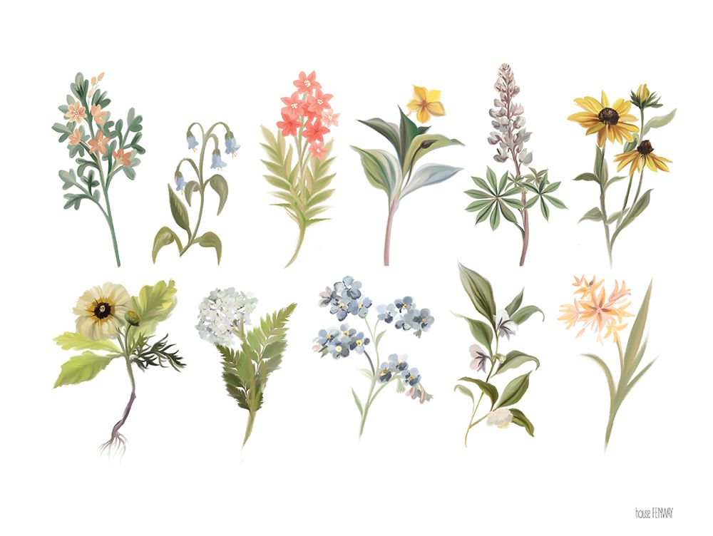 Spring Botanicals art print by House Fenway for $57.95 CAD