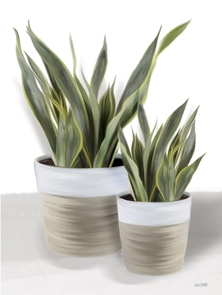 Snake Plant II art print by House Fenway for $57.95 CAD