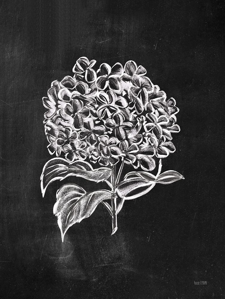 Chalkboard Wildflower III art print by House Fenway for $57.95 CAD