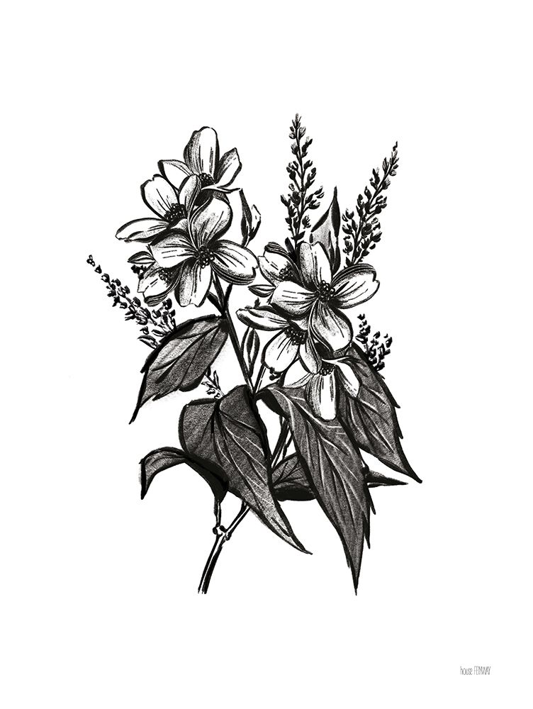Pen and Ink Wildflower I art print by House Fenway for $57.95 CAD
