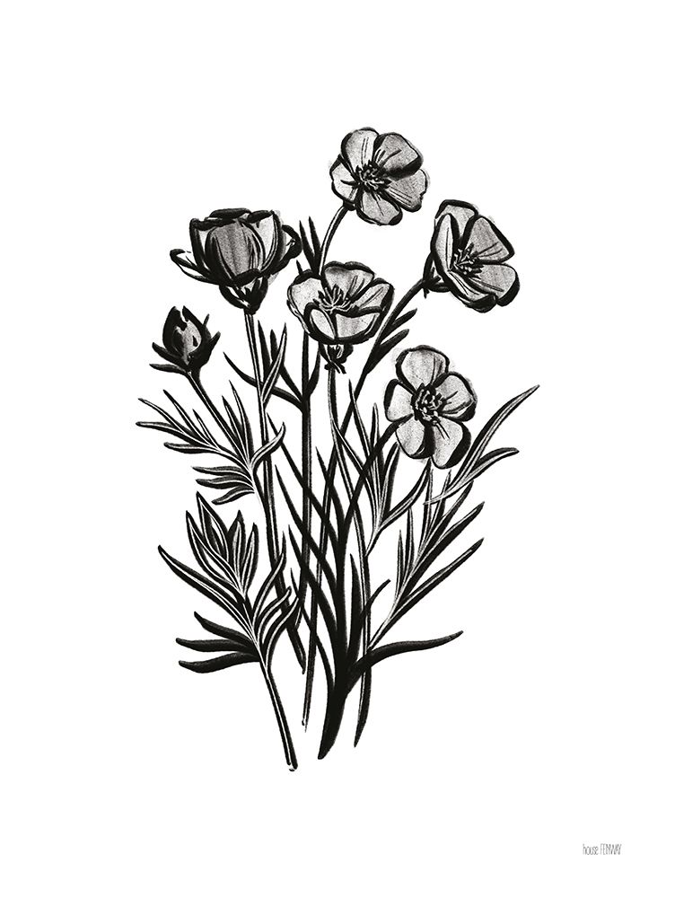 Pen and Ink Wildflower II art print by House Fenway for $57.95 CAD