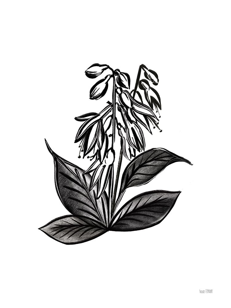 Pen and Ink Wildflower III art print by House Fenway for $57.95 CAD