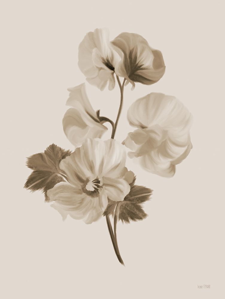 Sepia Botanical II art print by House Fenway for $57.95 CAD