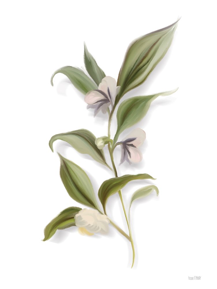 White Blossom Botanical art print by House Fenway for $57.95 CAD