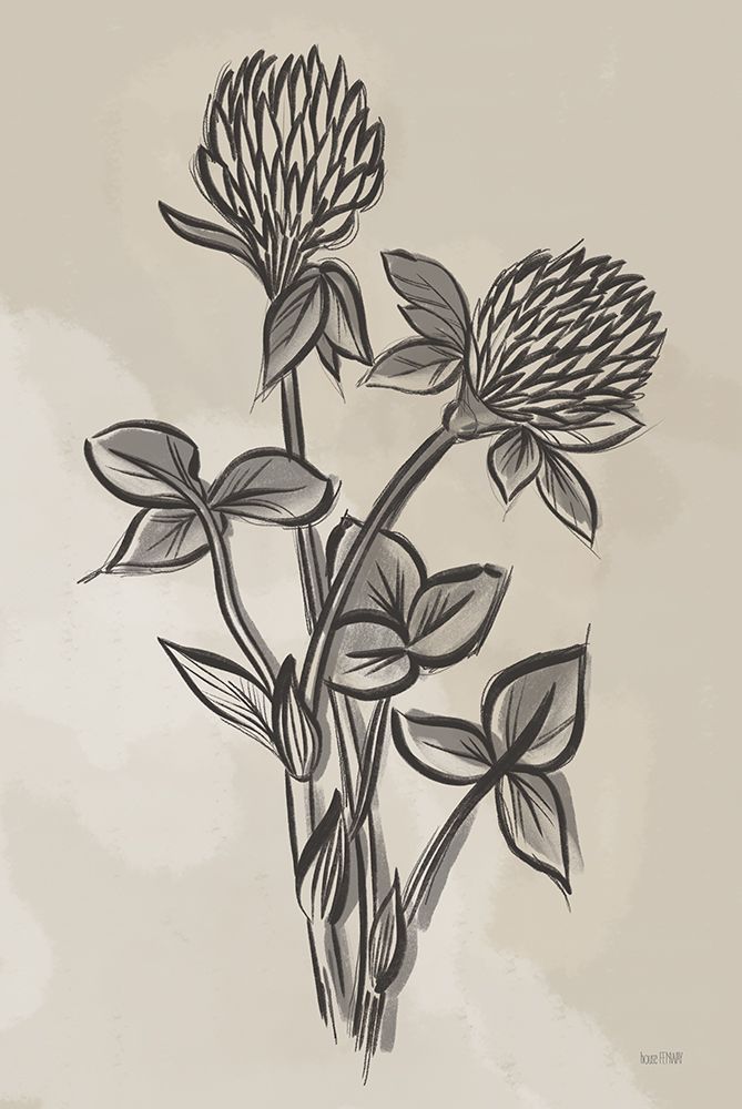 Vintage Clover Sketch I art print by House Fenway for $57.95 CAD